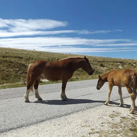 Farmház Agriturismo I Murales *