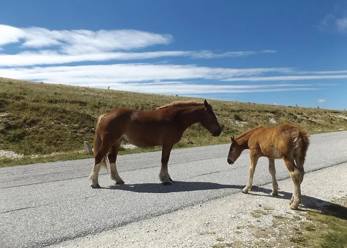 Farmház Agriturismo I Murales *